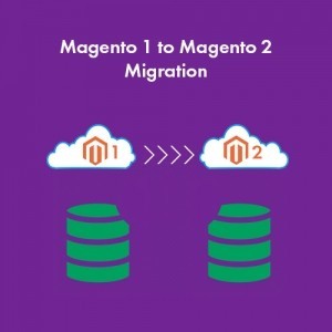 Magento 1 to Magento 2 Migration